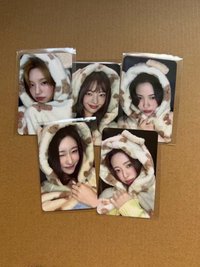 小熊