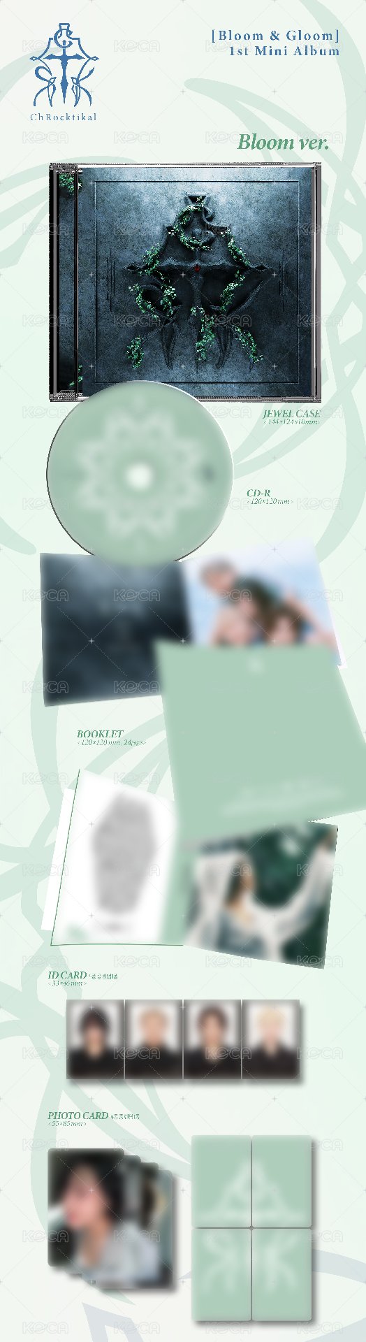 Bloom ver.