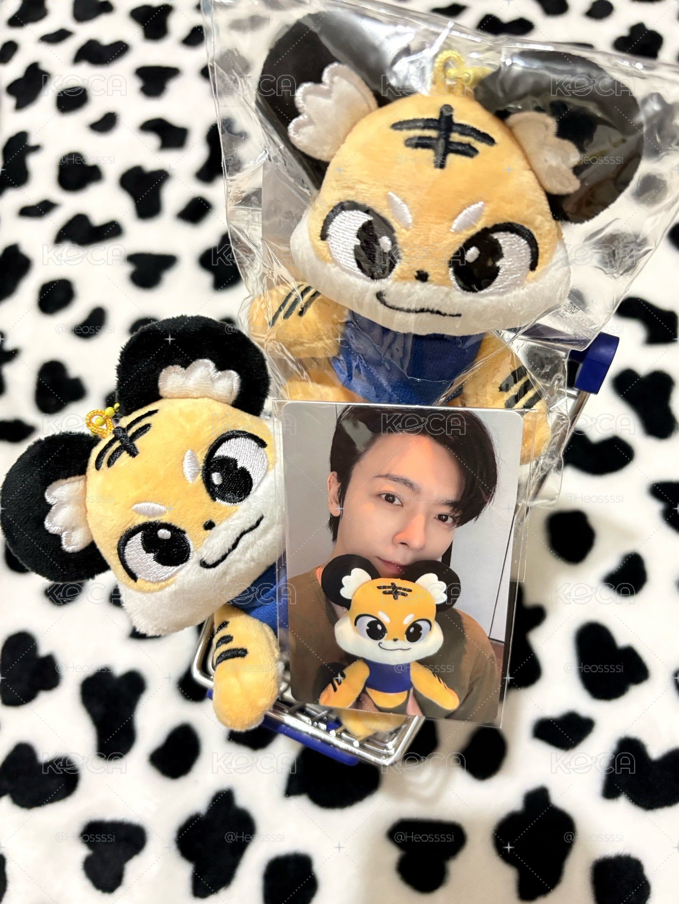 SJ 💙 東海 小老虎娃娃
