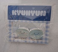 髮夾 圭賢
