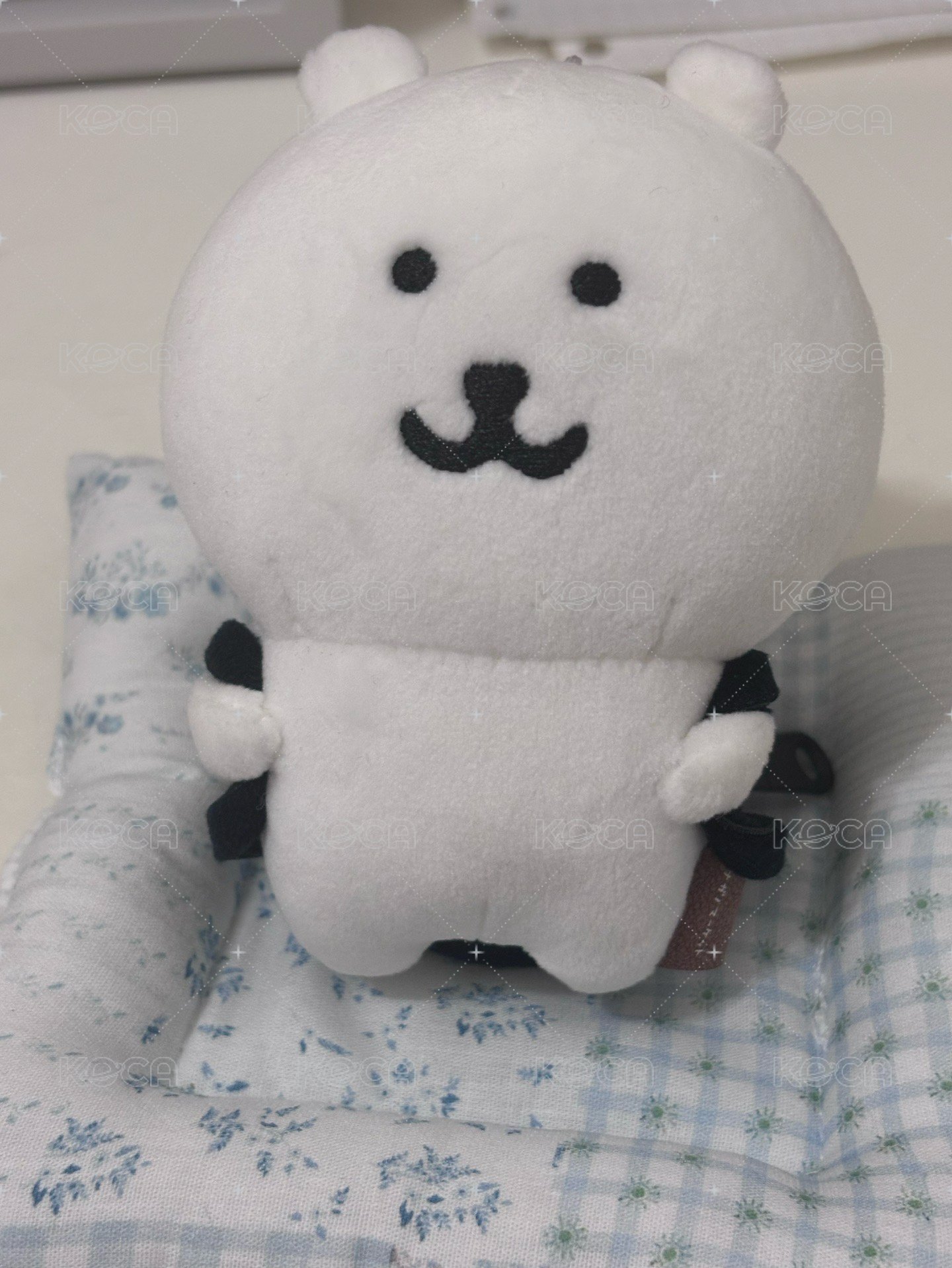 背包熊