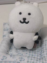 背包熊