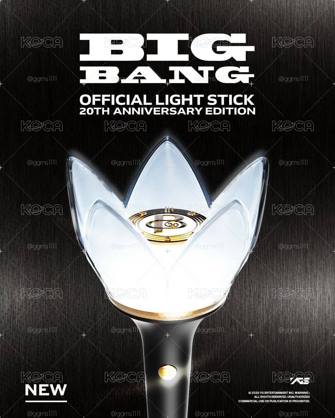🐢【現貨 Bignang 20週年應援棒 手燈🐢