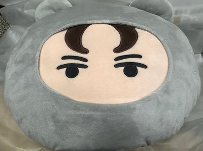 miniteen 抱枕系列