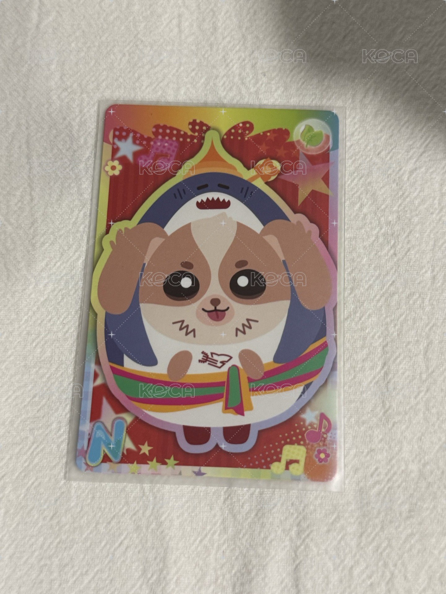 19（綁+2🍒）