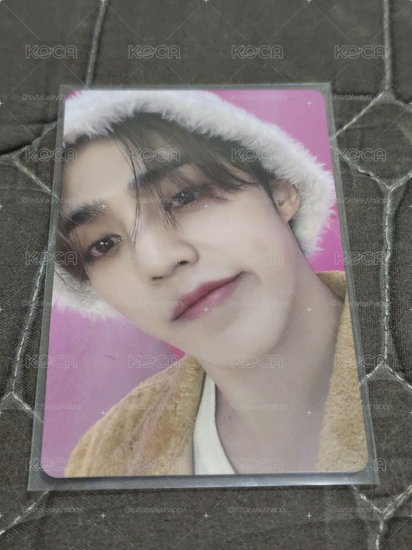 Dream c盤專卡 S.coups 
