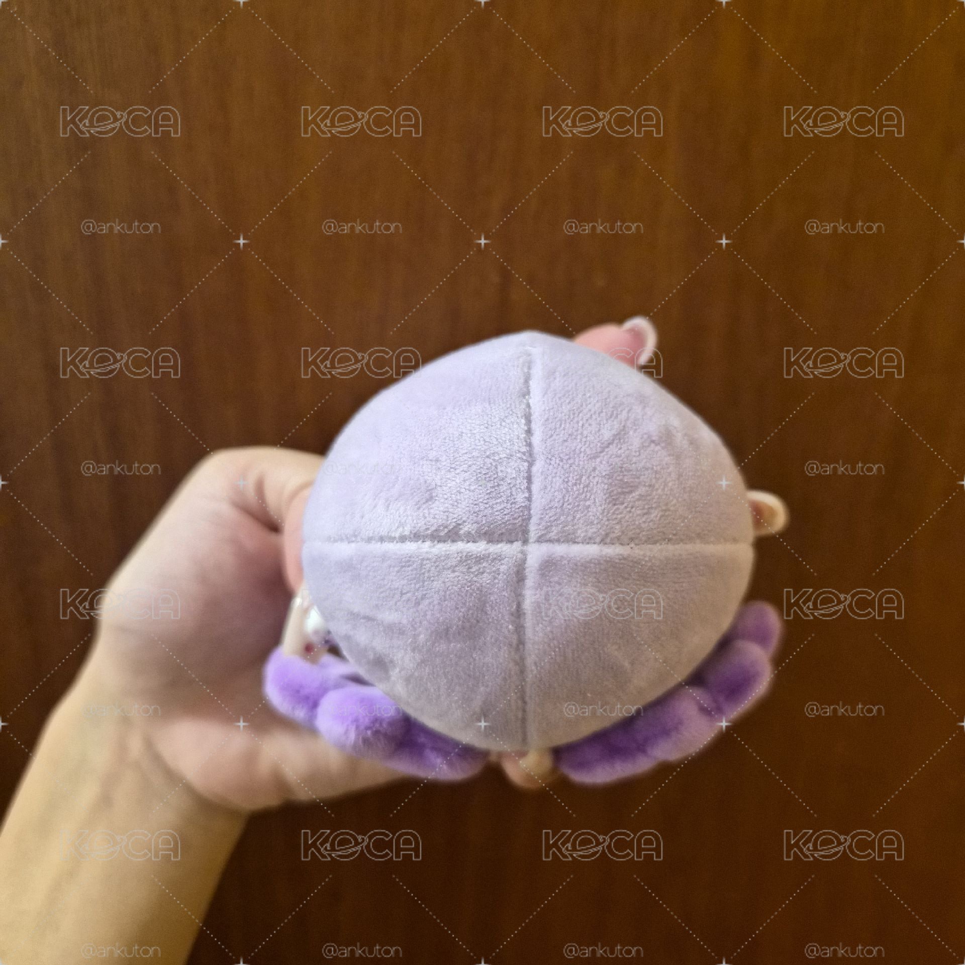 一人一單救救椅願雙擔--老吳日巡球