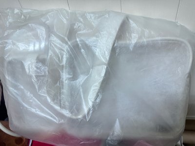 藝聲 金康熏鼠兔衣櫥痛包 娃包 白色全新未拆現貨