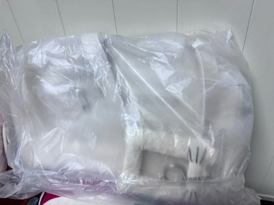 藝聲 金康熏鼠兔衣櫥痛包 娃包 白色全新未拆現貨