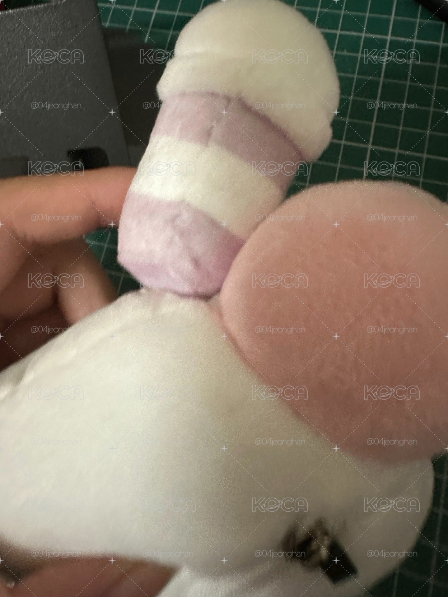 IYF亞巡杯套 旼糕