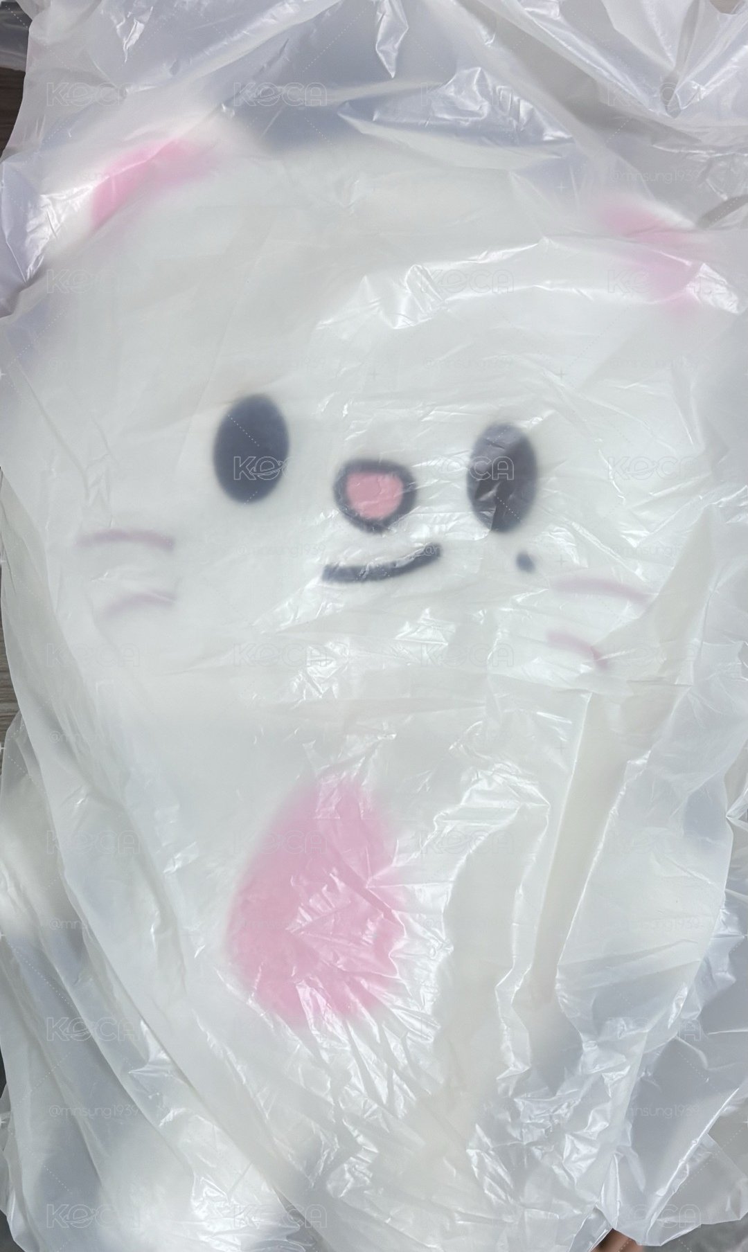 後背包辰娃含卡