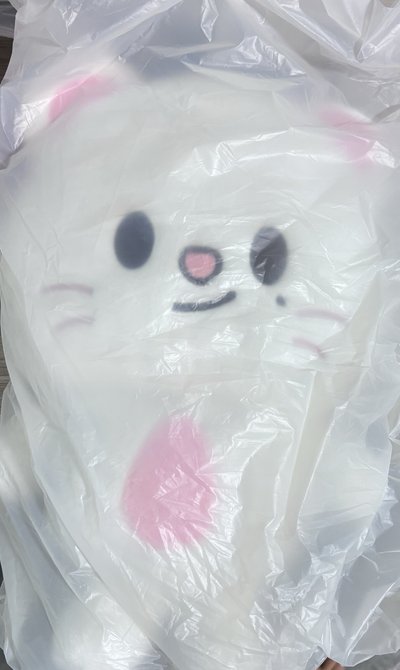 後背包辰娃含卡