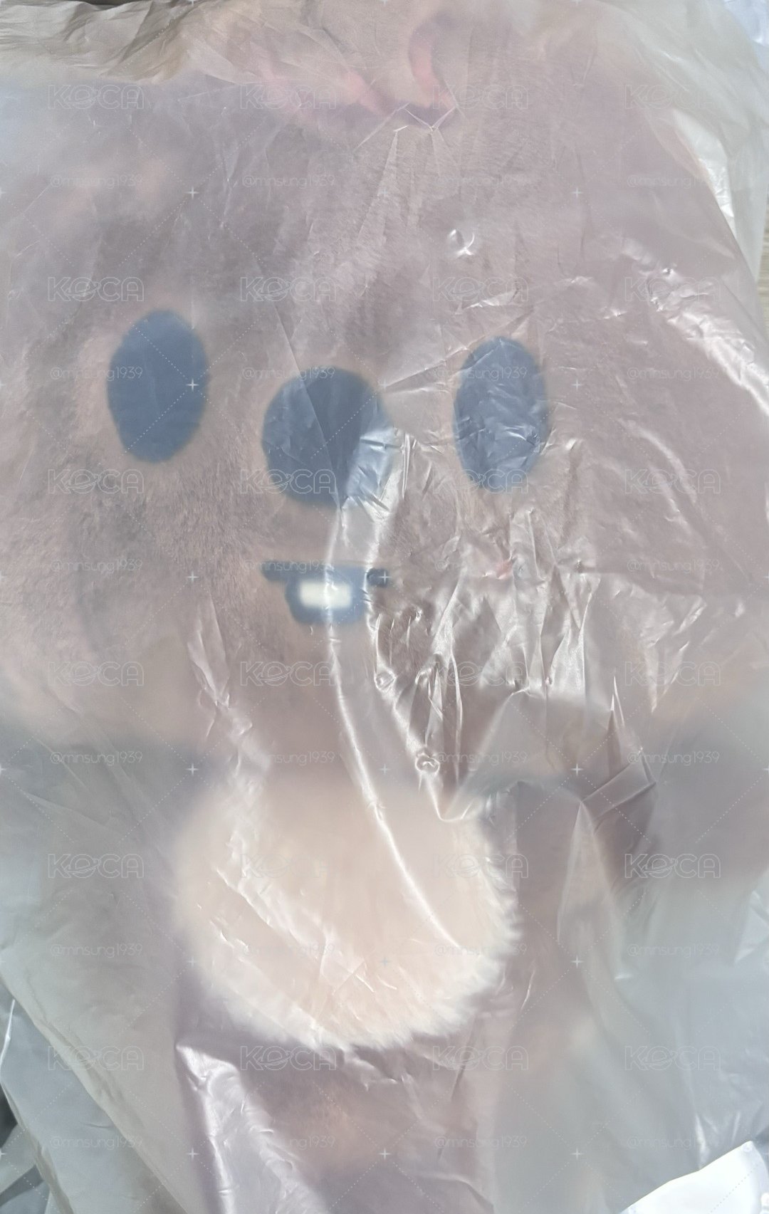後背包城娃含卡