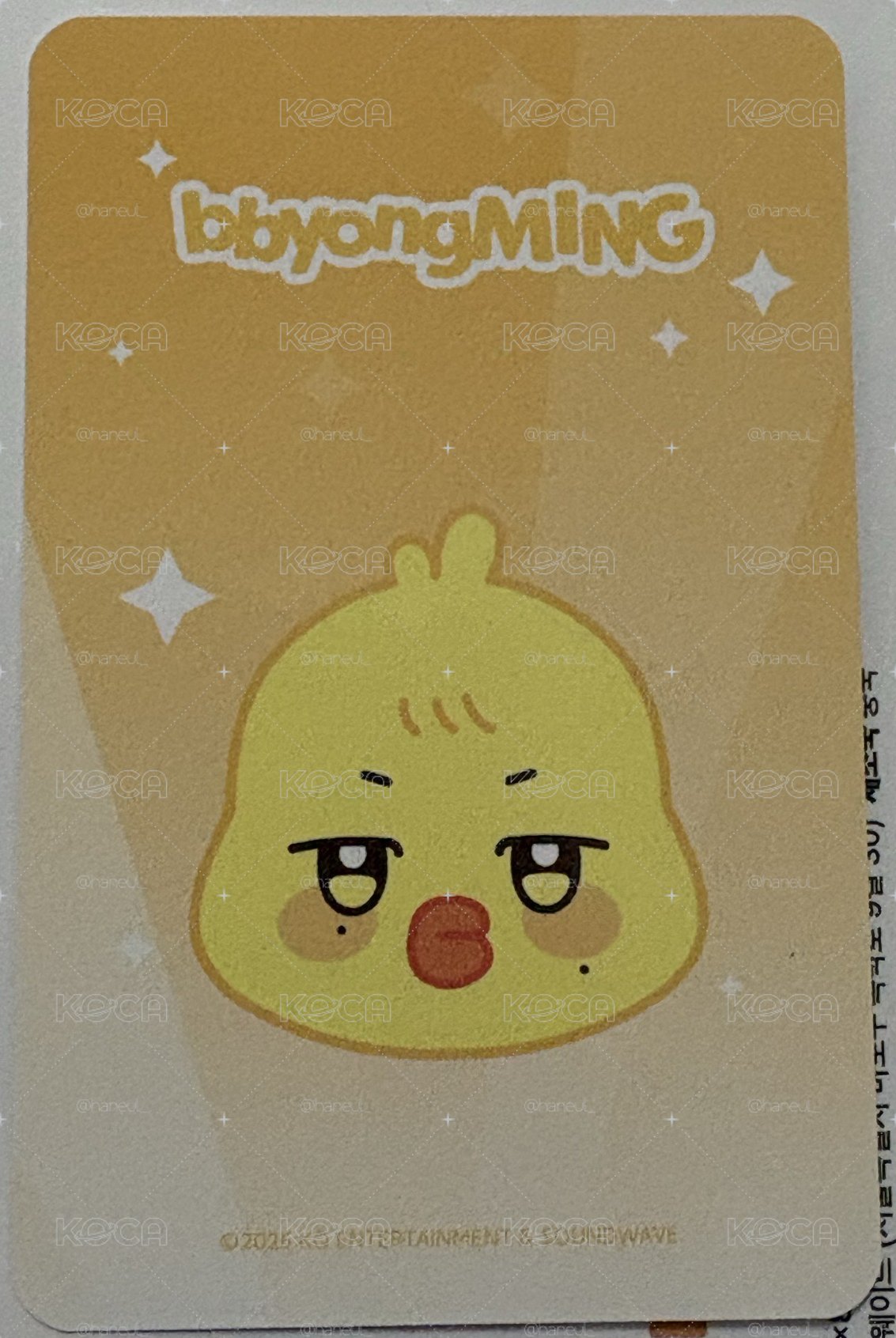 旼琦小卡們