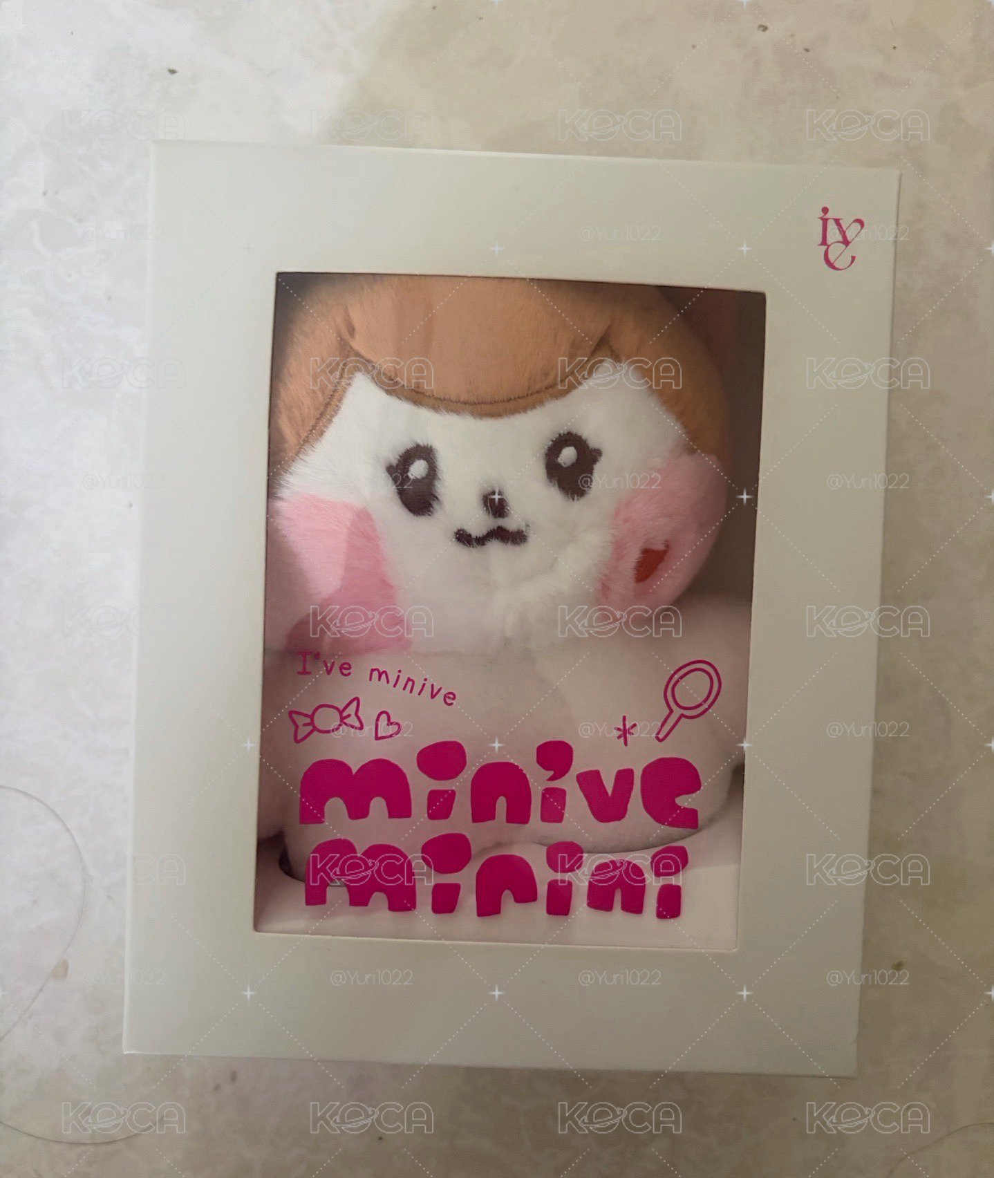 Liz LINE FRIENDS快閃 娃娃玩偶 COSTUMEPLUSH cheezni
