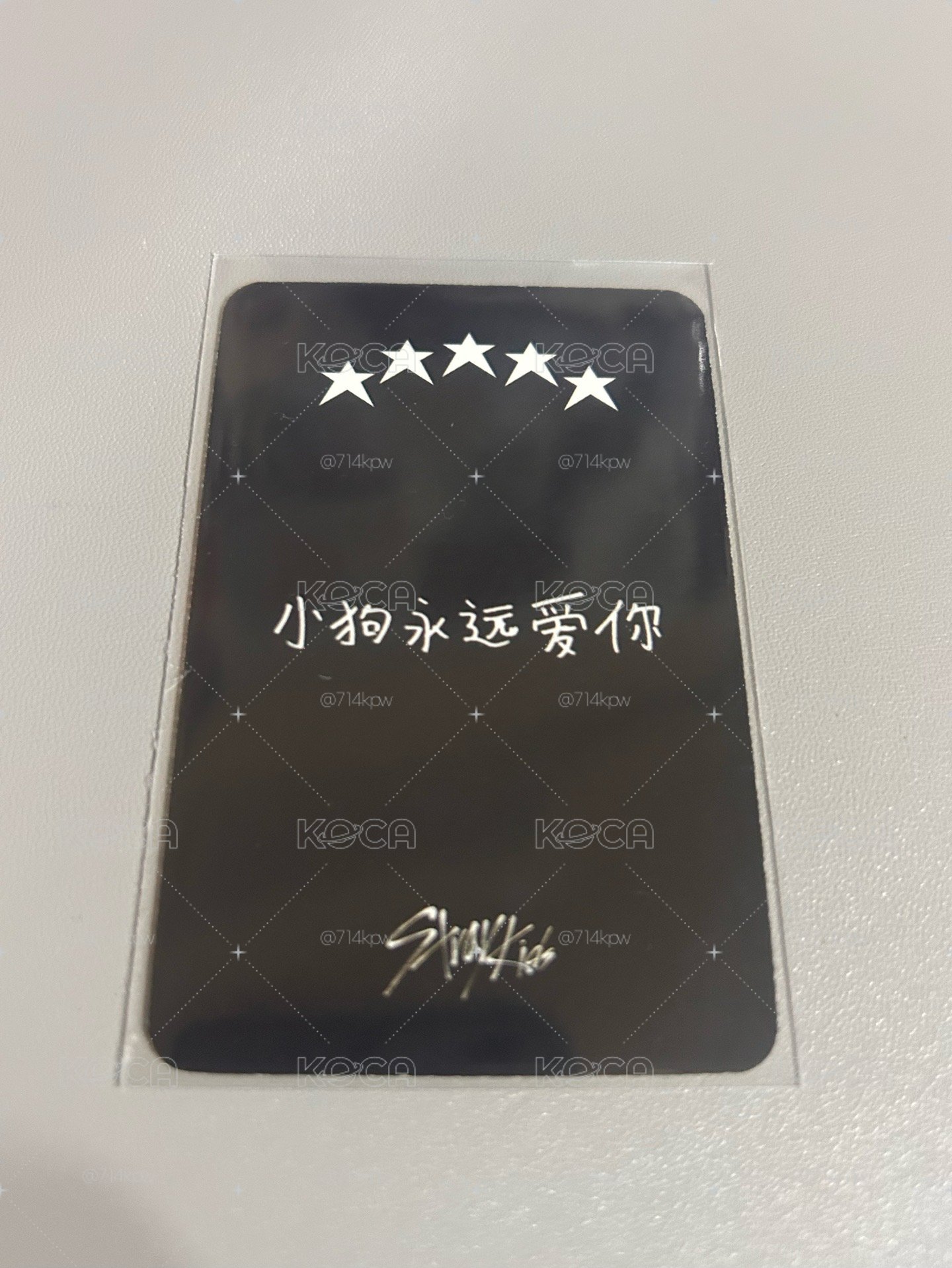 小狗永遠愛你