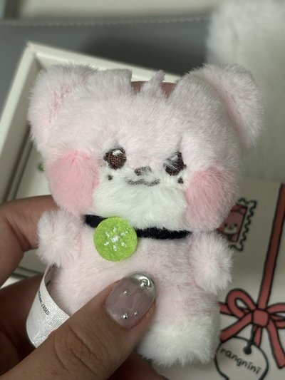 【便宜出清】ive linefriends 瑞盒娃+瑞卡套