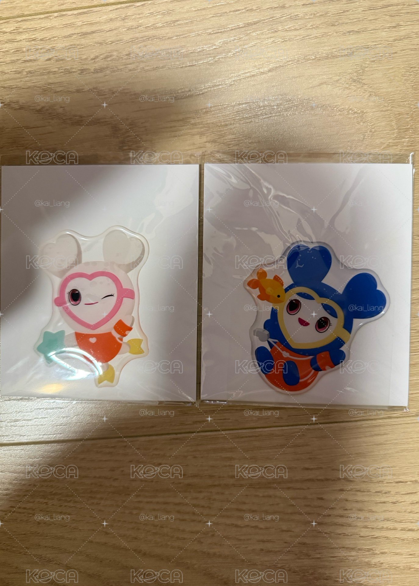 五巡SPECIAL RTB SP 貼紙  多賢 子瑜