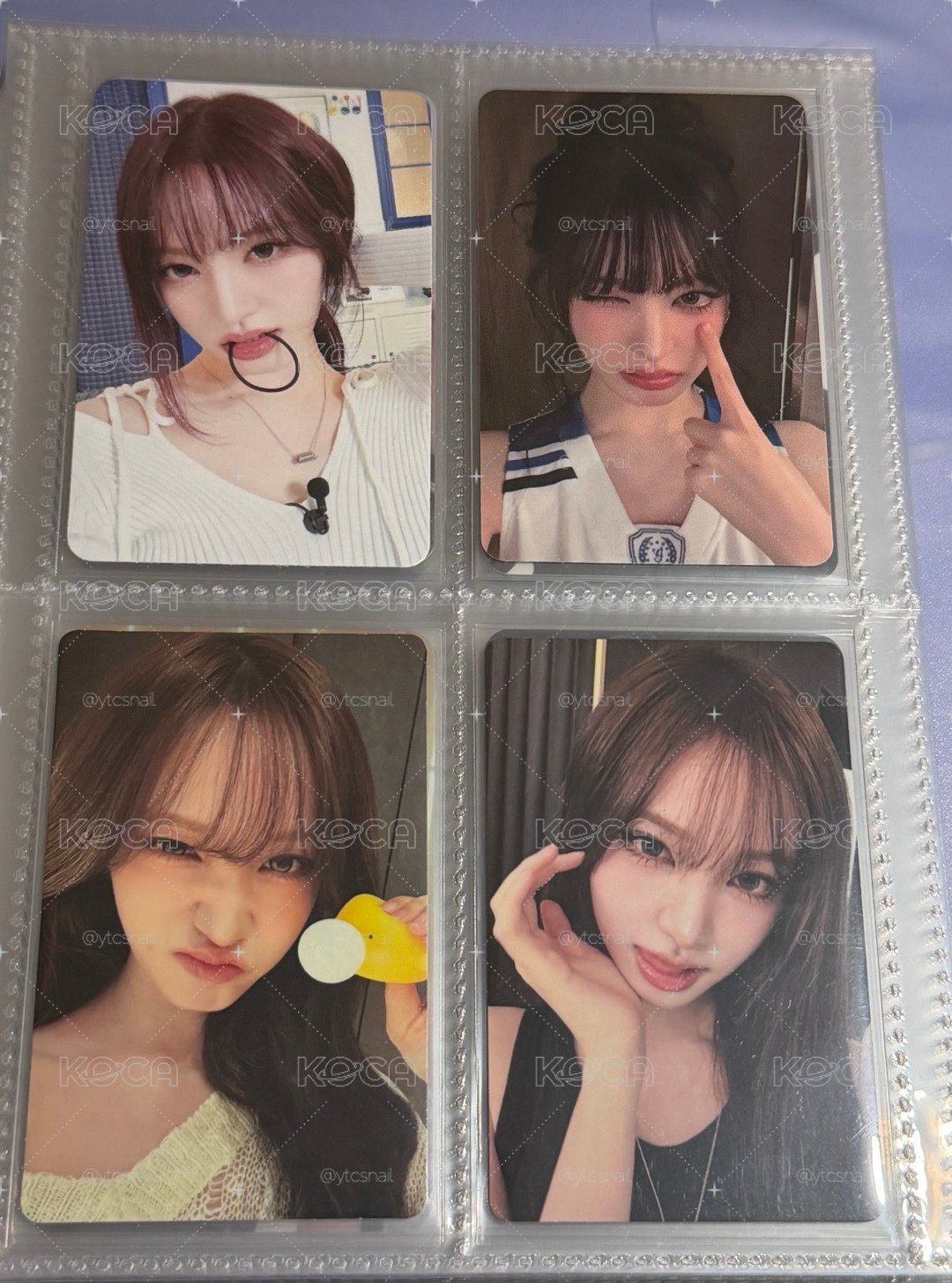 🌰小小盤