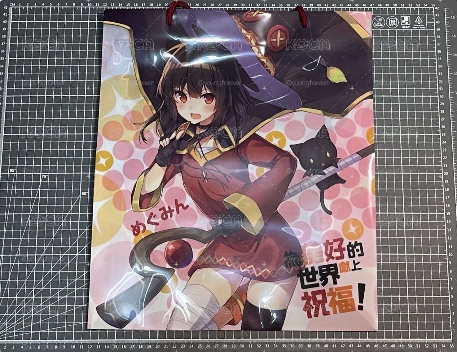  20週年紀念大提袋《不起眼女主角培育法》《Sword Art Online 刀劍神域》漫博 會場限定 PP 提袋