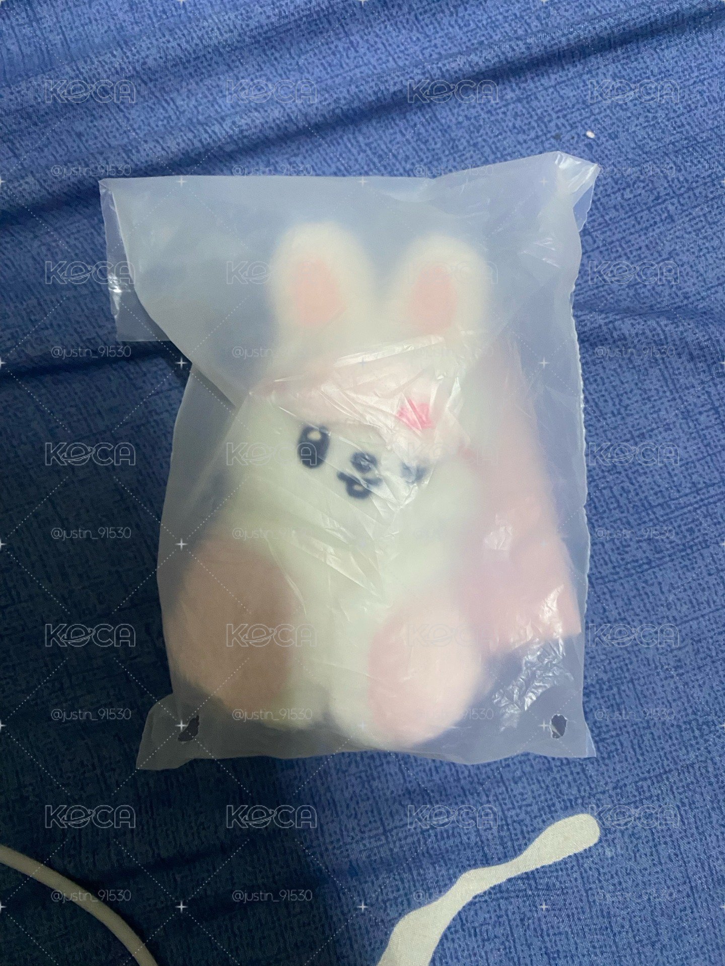 六期飯咪 眼罩娃 李畢