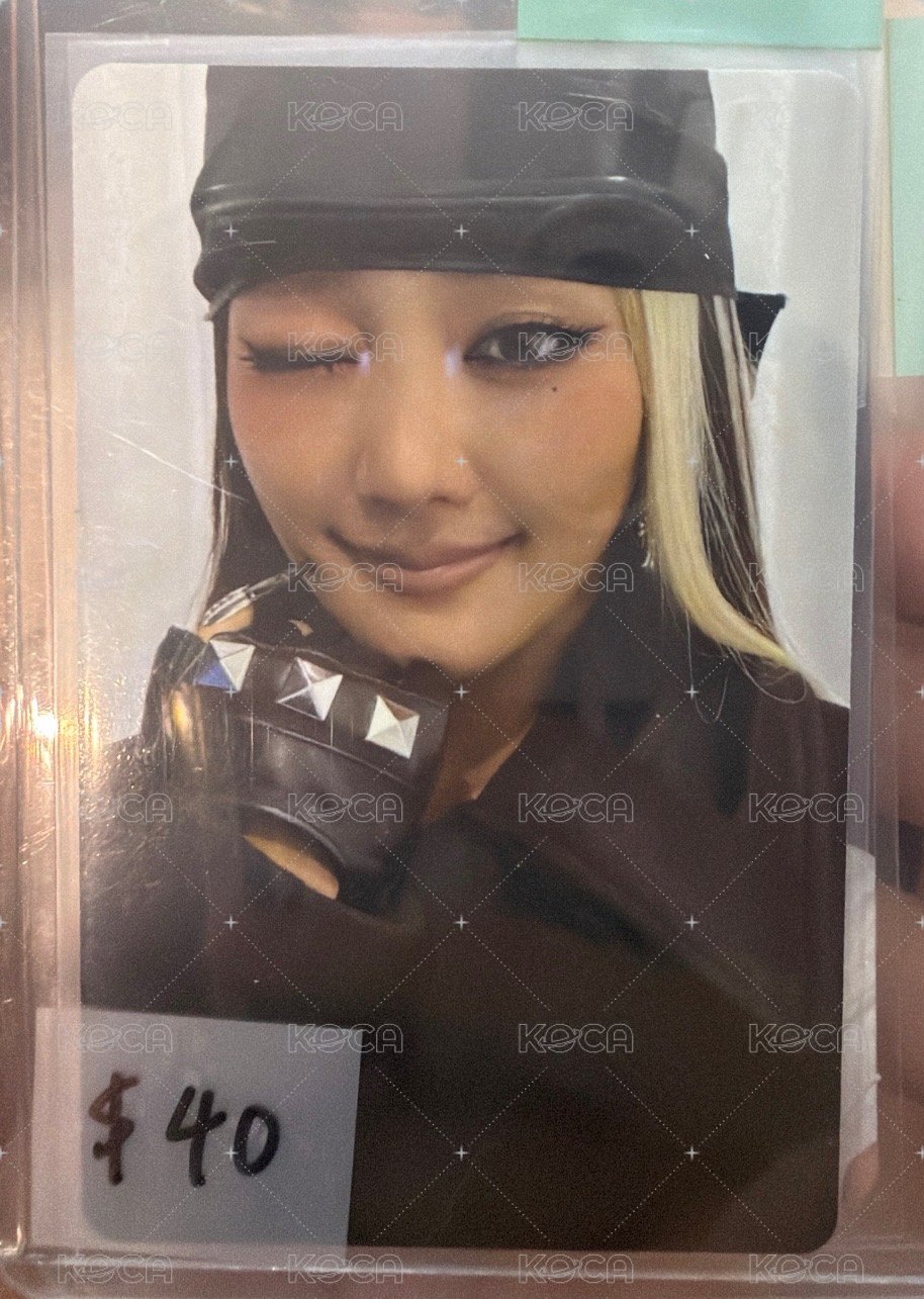 妮6