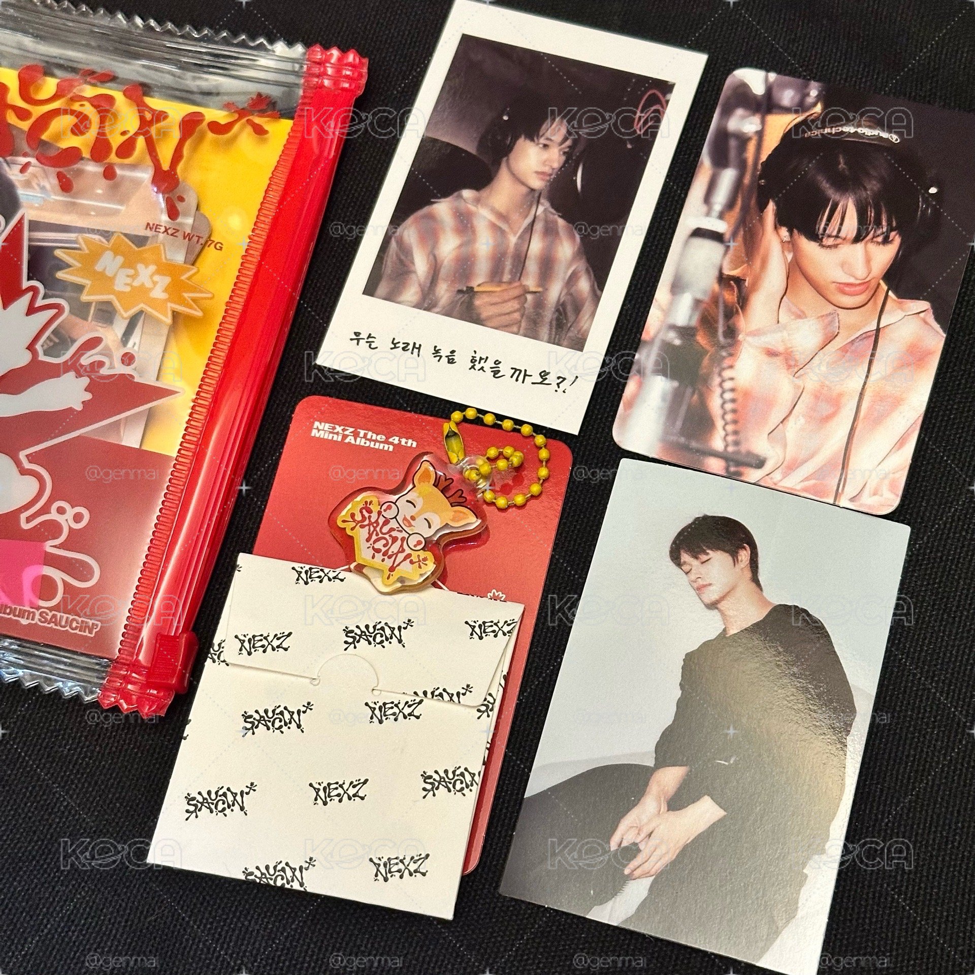 PHOTO PACK 全專 🐻‍❄️/🐿️/🦌/🦦