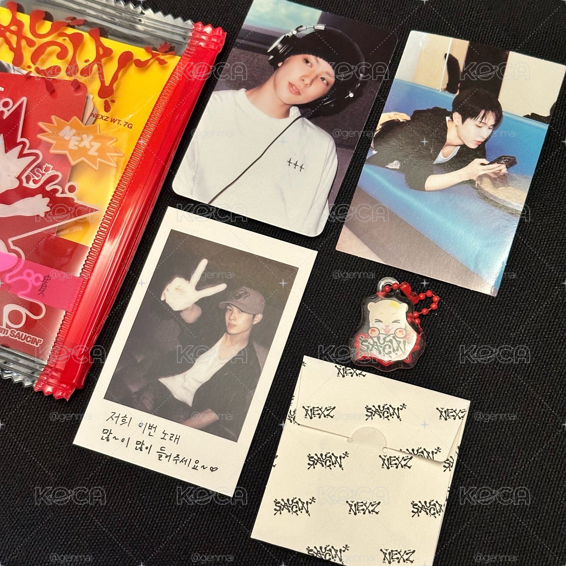 PHOTO PACK 全專 🐻‍❄️/🐿️/🦌/🦦