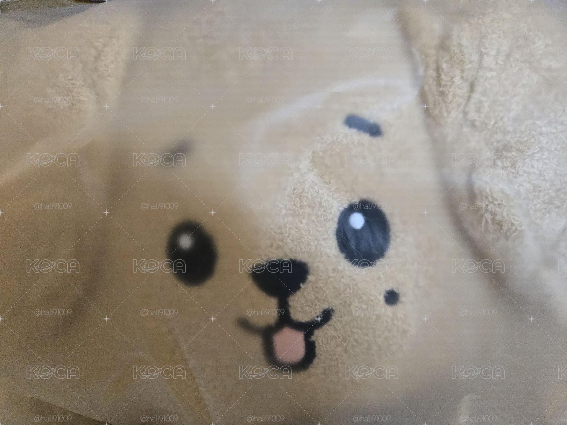 Doa抱枕（已保留勿下單）
