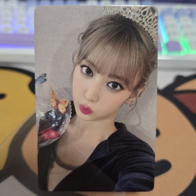 很適合秋季的公主櫻