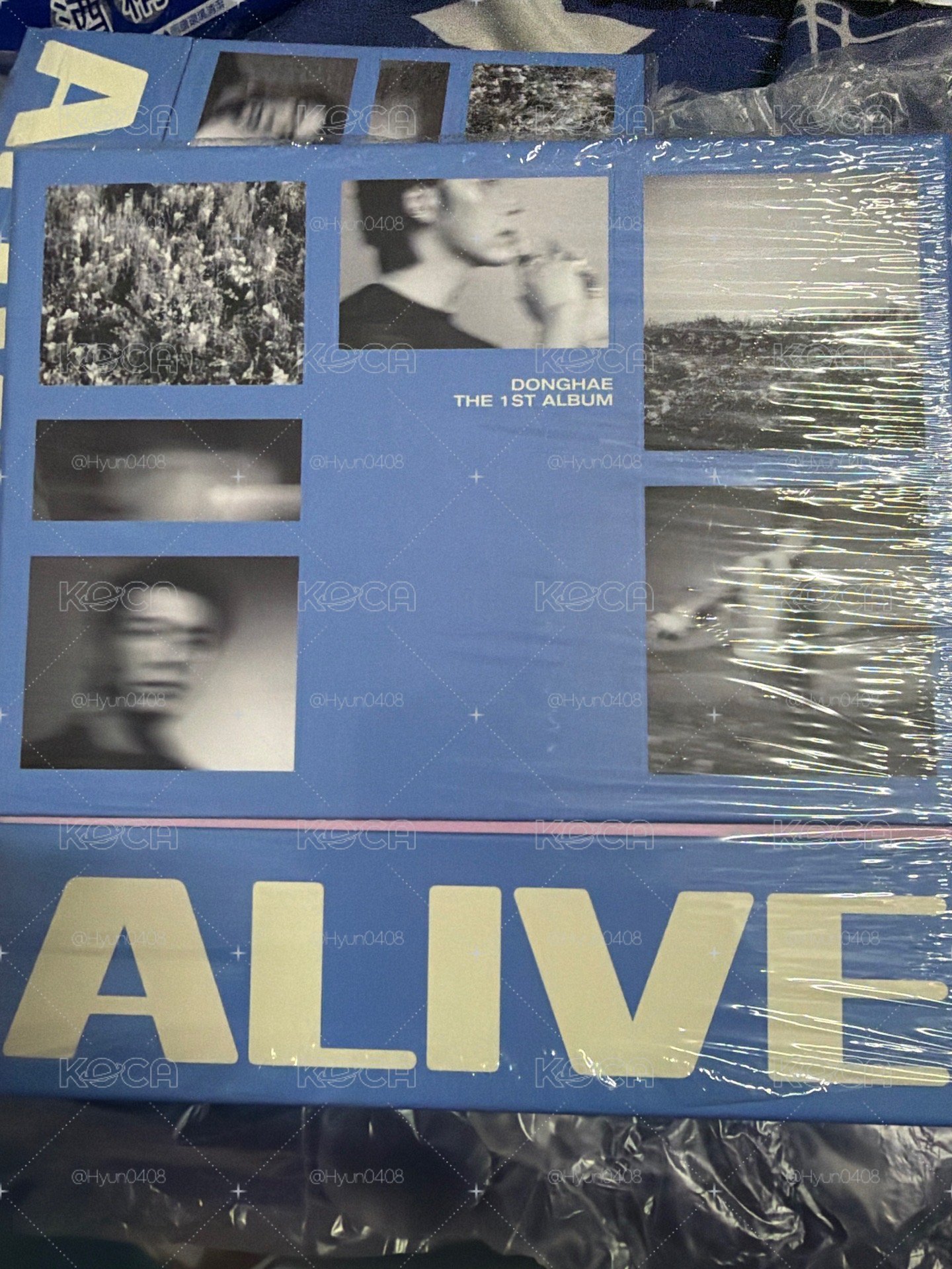 東海個人專輯 ALIVE