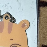 中拉米