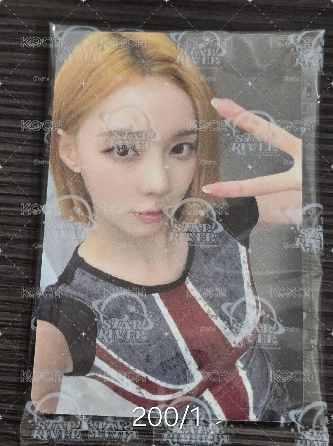 冬盤