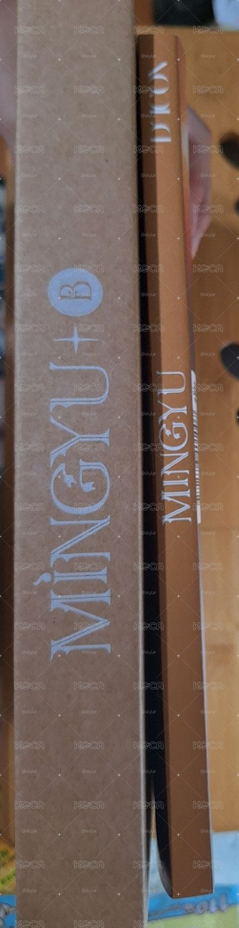 SVT 奎dicon