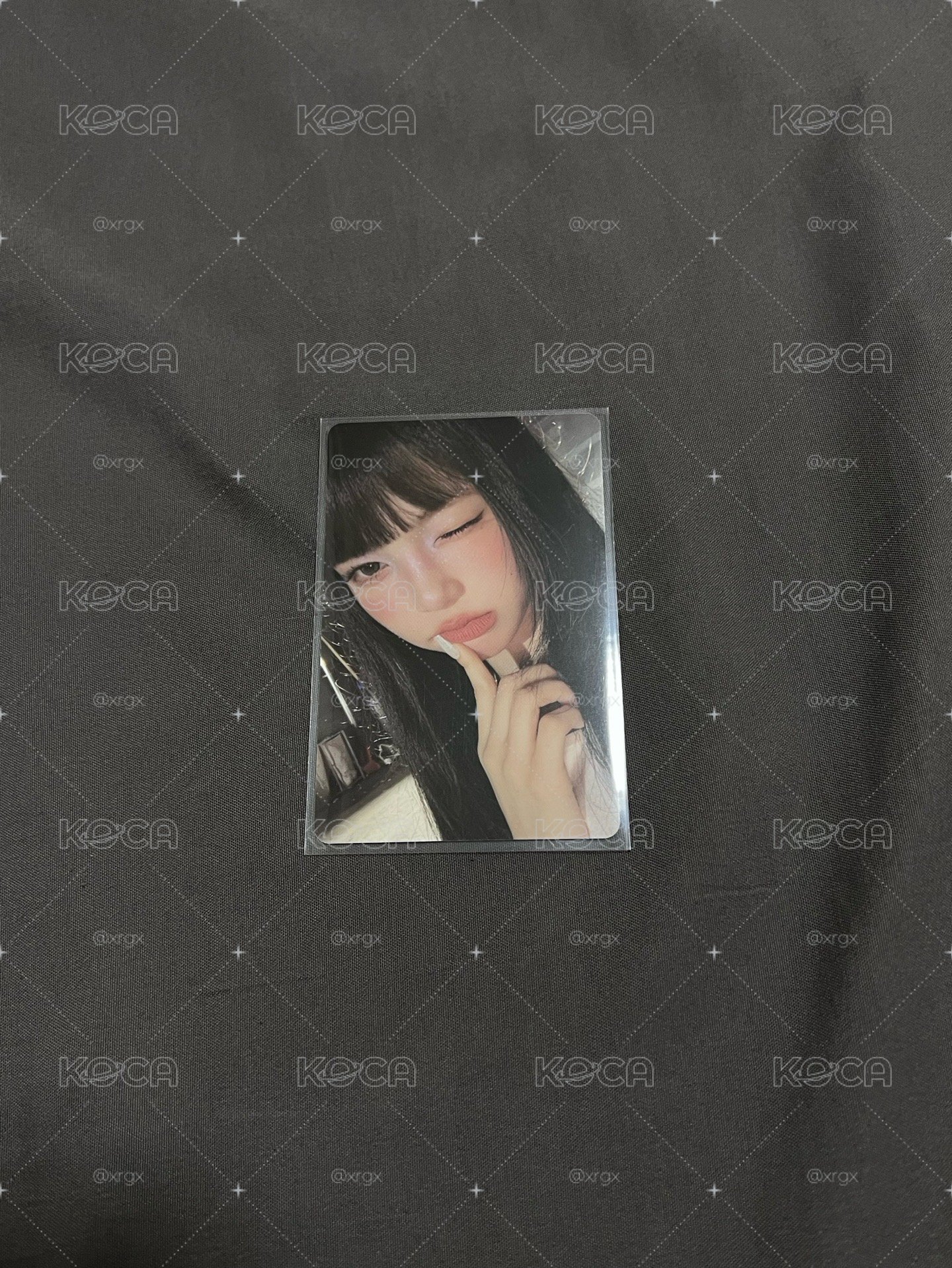 Focus Smini專卡 Ian