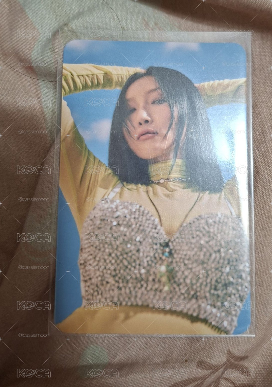 MIC ON Bizent 預售 特典卡 