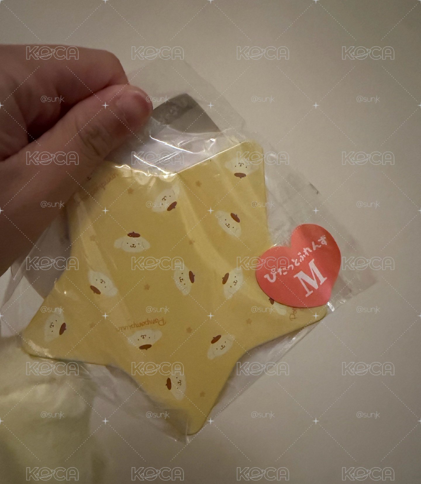 三麗鷗 飛耳布丁狗M