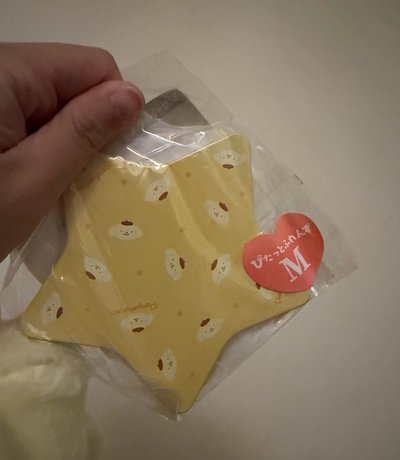 三麗鷗 飛耳布丁狗M