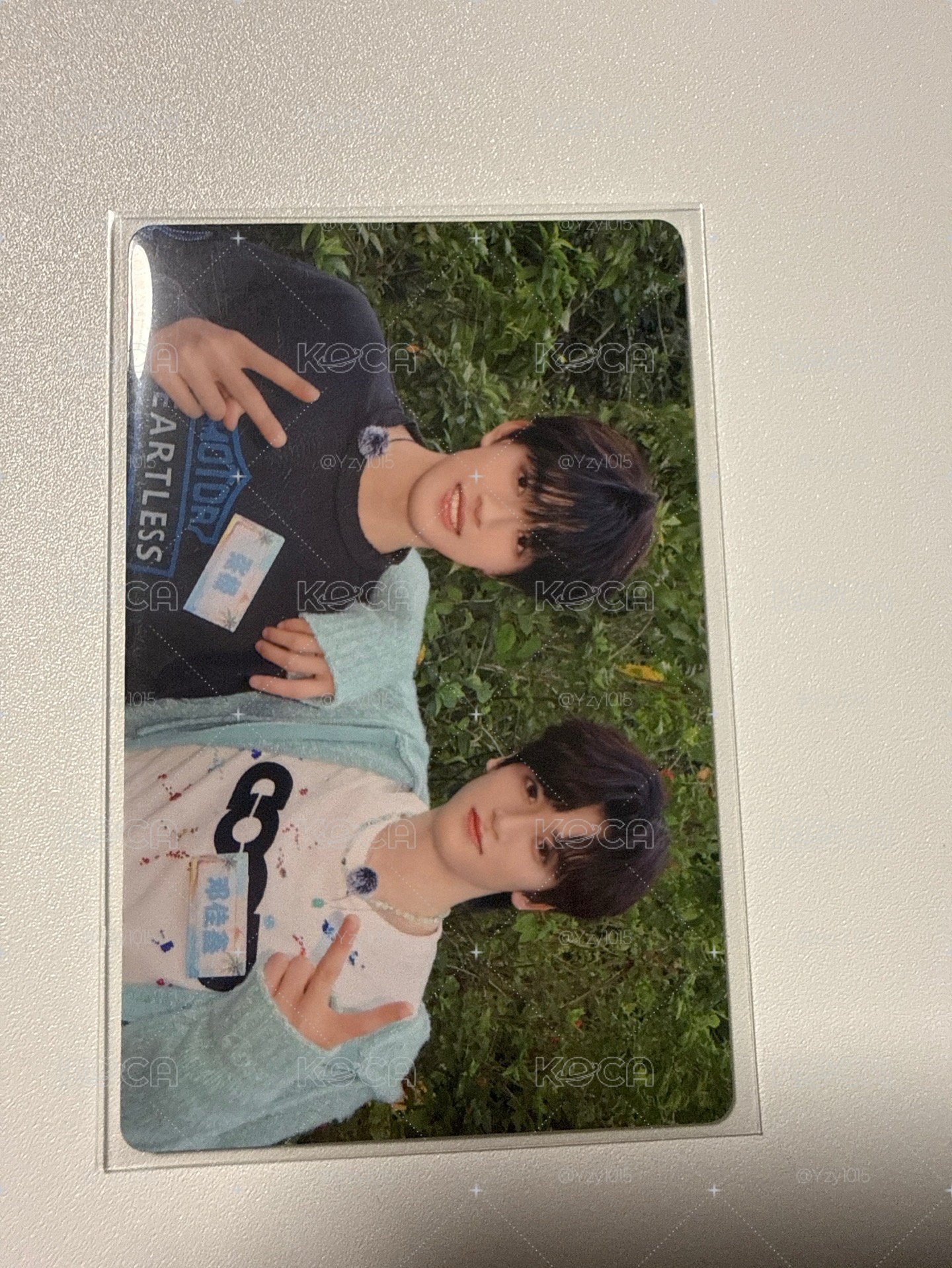 張極鄧佳鑫