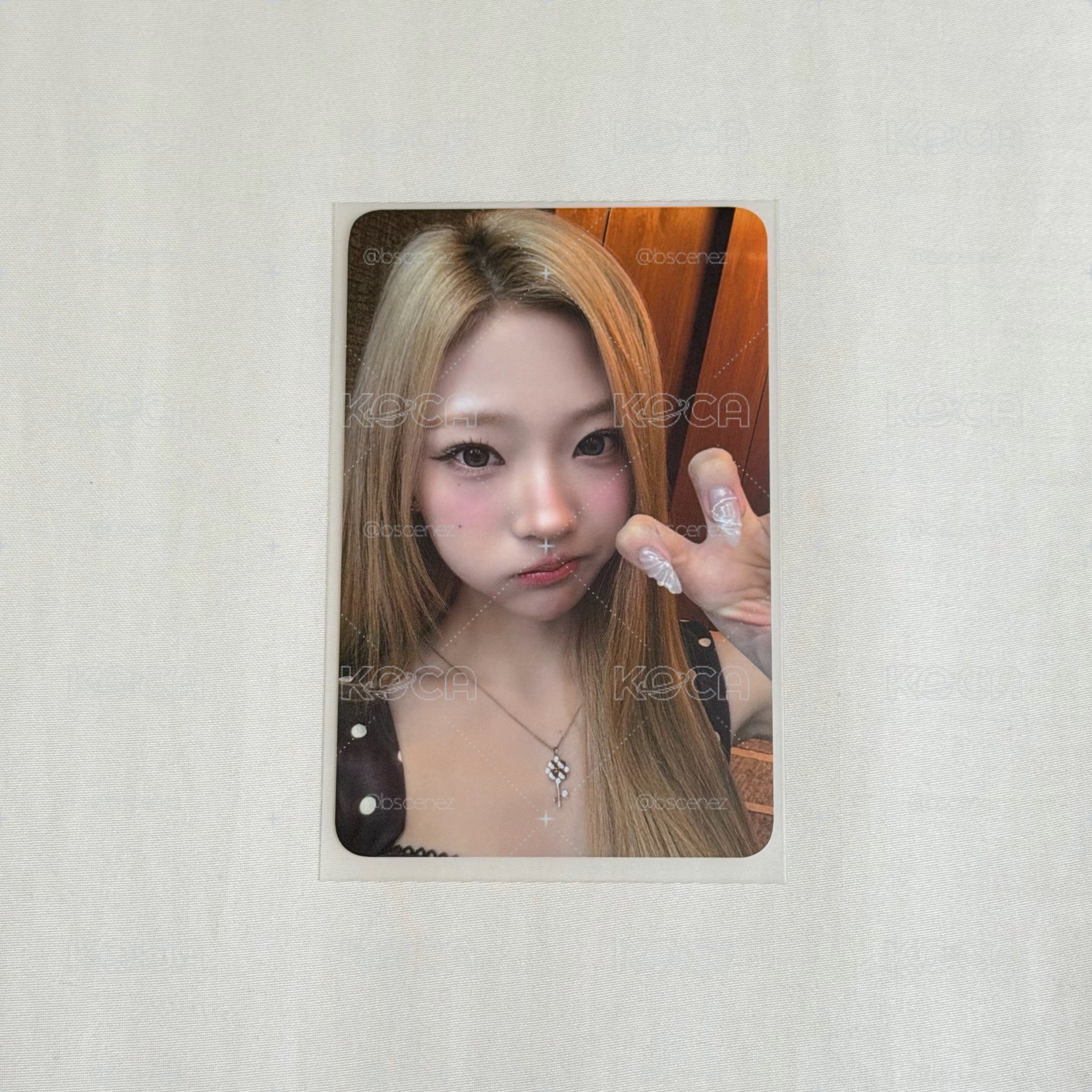 迷一 Focus K4 LA Stella