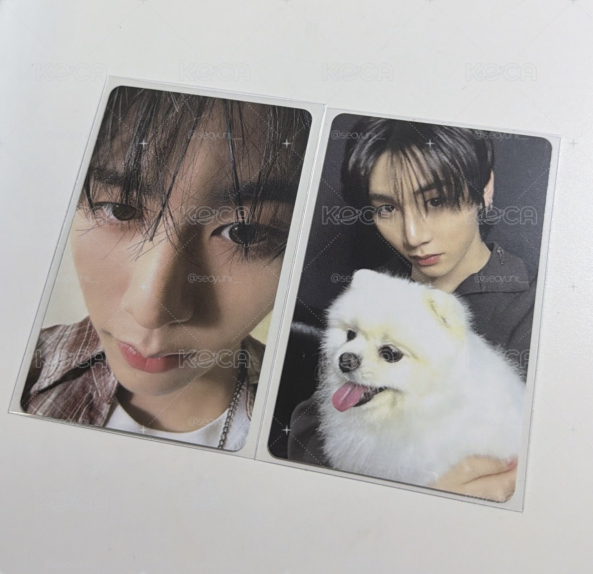 泰山wvs懟臉+小狗特典