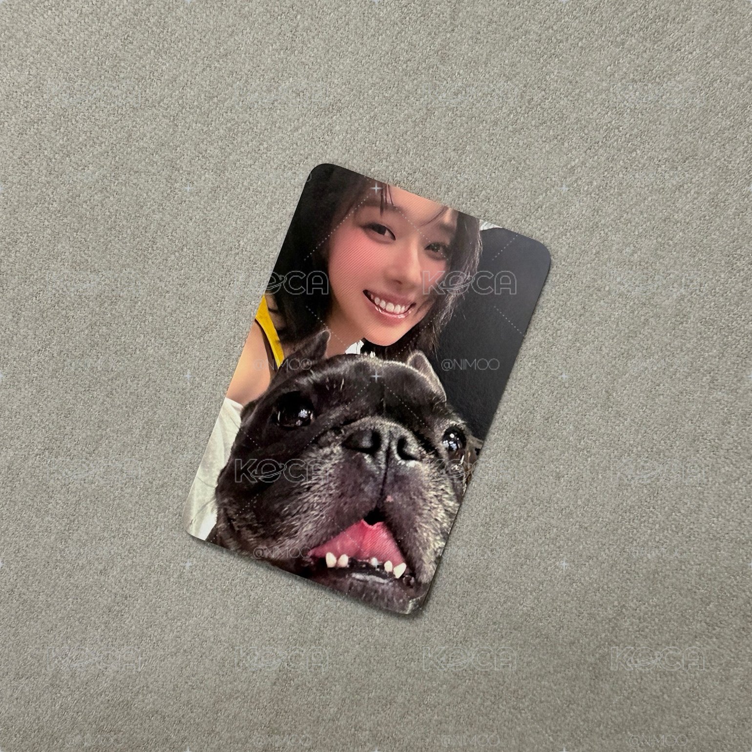 笨蛋小狗汪汪🐶