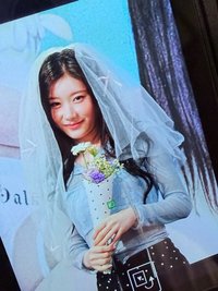 彩彩子