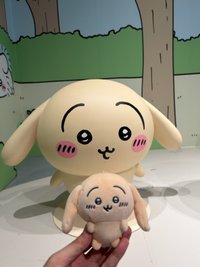 Chimmy