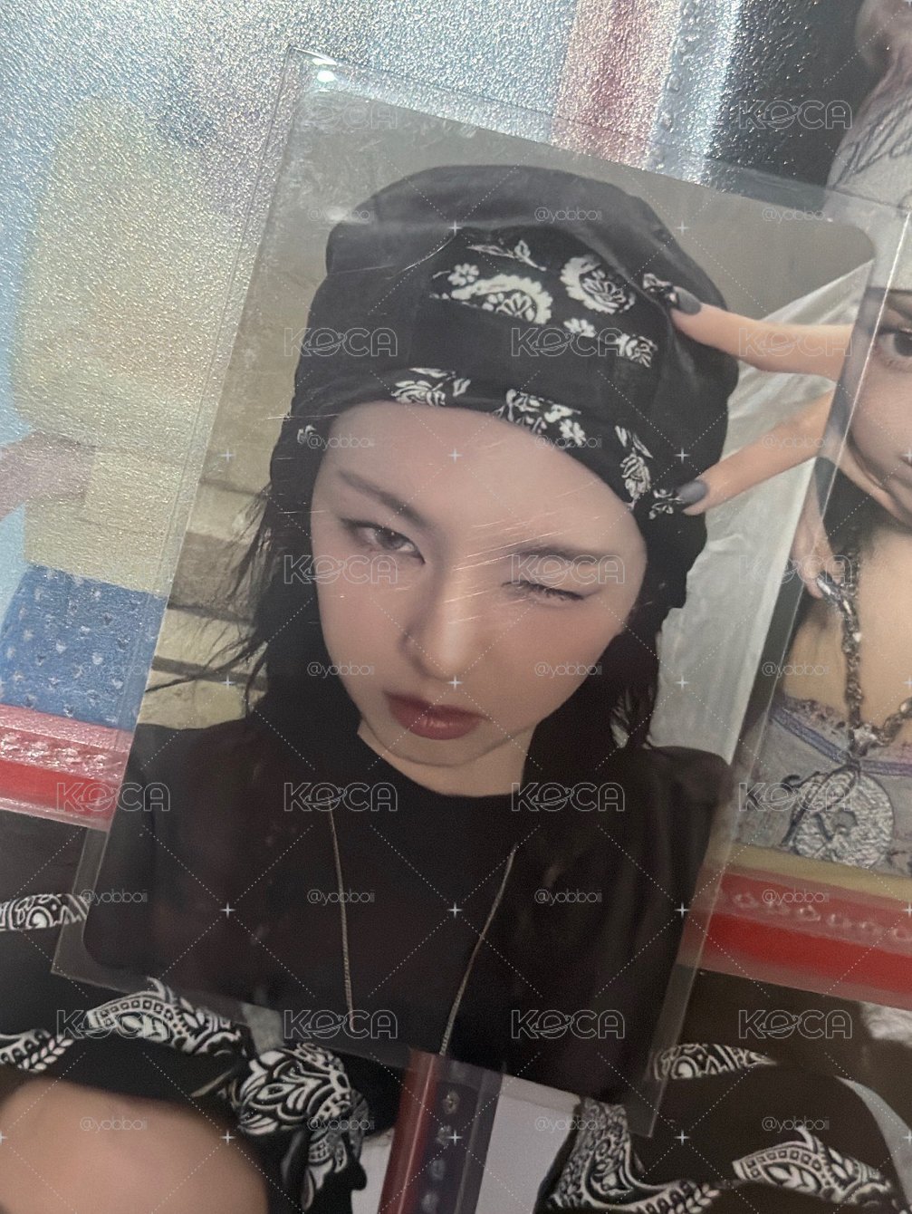 小貓柒