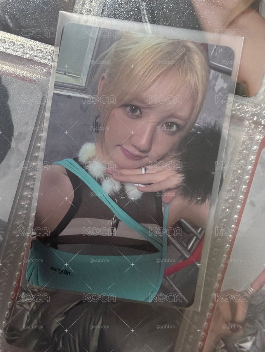 美美藍
