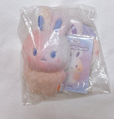 咚星星星💫