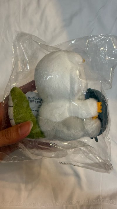 那孩子螢幕掛