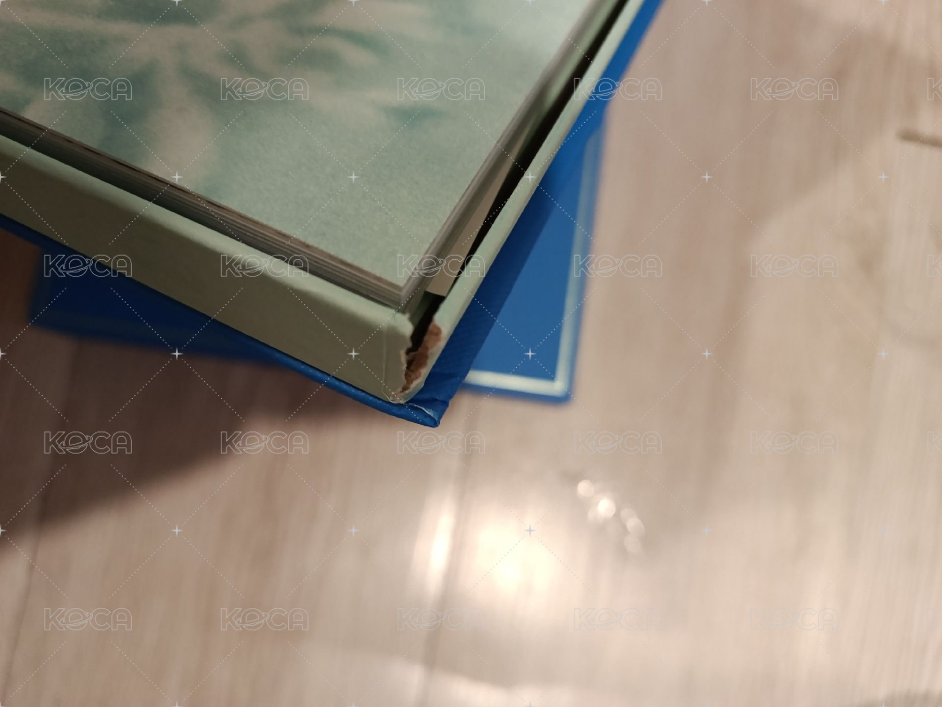 已拆專配置1（殼損）