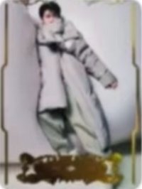 帕拉丁1.0 代言卡 ver.H